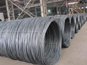 CE-сертифицированная горячая прокатная проволока Струна из оцинкованной стали с ASTM/AISI/JIS/GB/DIN/En